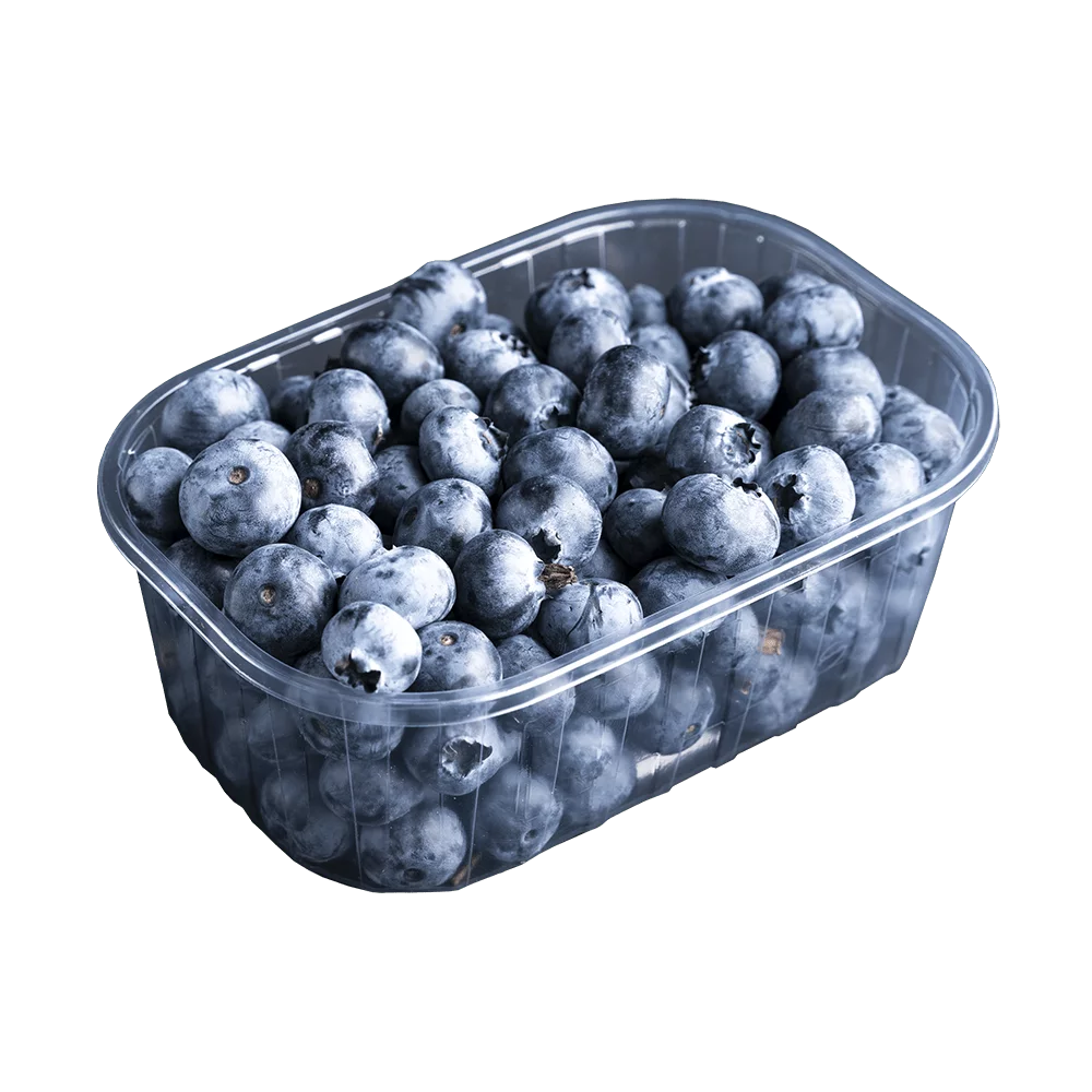Borówka amerykańska 250g